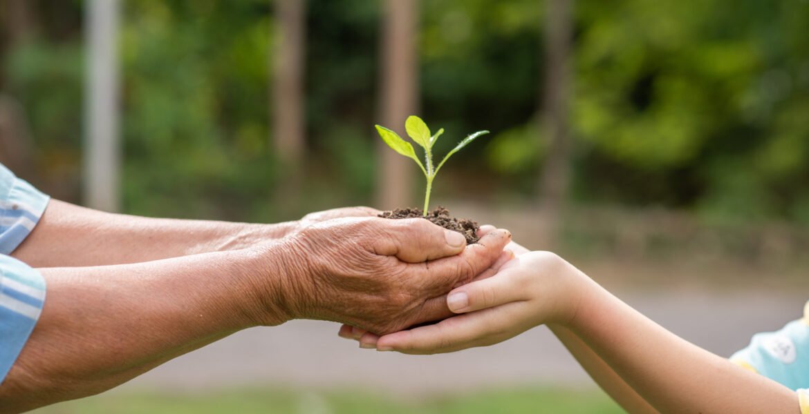 Planting Trees